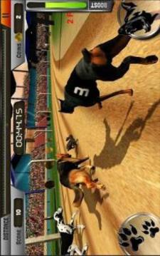 Crazy Dog Hunting Race Simulator 3D : 2018游戏截图3