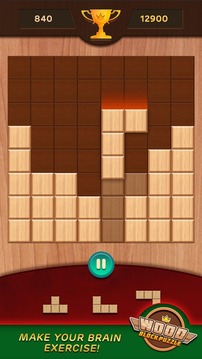 Wood Block Puzzle 1010游戏截图5