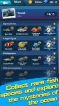 Fishing Championship游戏截图4