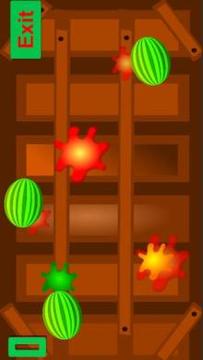 Fruit Ninja Game Free Download : Fruit Cutting游戏截图2