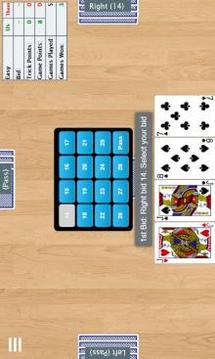 28 Card Game (Twenty Eight)游戏截图1