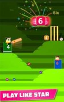 Mr. Bat: The Cricket Game游戏截图1