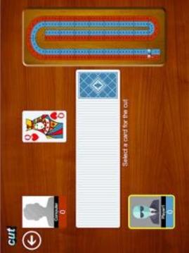 Cribbage Card Game (Crib Cribble)游戏截图3