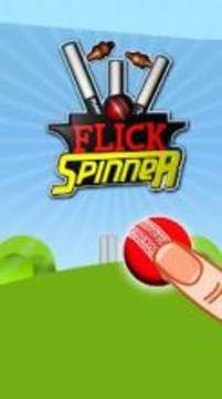 Flick Spinner Cricket 3D游戏截图3