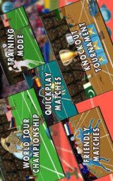 Badminton Premier League:3D Badminton Sports Game游戏截图3