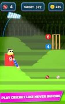 Mr. Bat: The Cricket Game游戏截图5