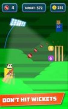 Mr. Bat: The Cricket Game游戏截图3