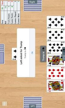 28 Card Game (Twenty Eight)游戏截图2