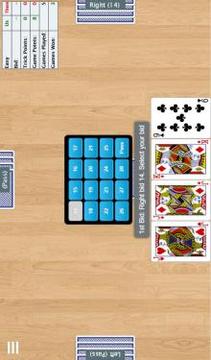 28 Card Game (Twenty Eight)游戏截图5