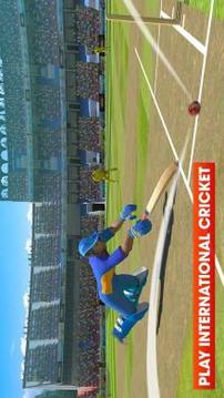 Real World Cricket 18: Cricket Games游戏截图1