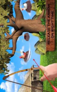 Archery Chicken Shooter : Archery Games游戏截图5