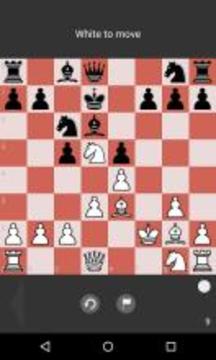 Chess Tactic Puzzles游戏截图4