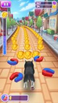 Pet Run - Puppy Dog Game游戏截图3