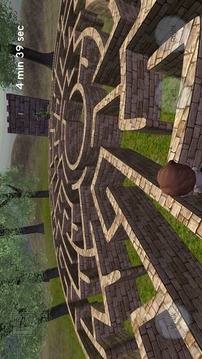 魔幻迷宫 3D游戏截图5