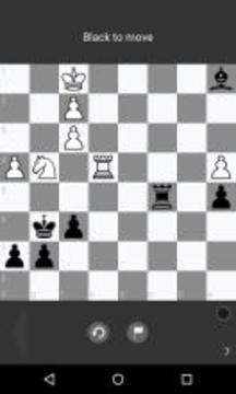 Chess Tactic Puzzles游戏截图3