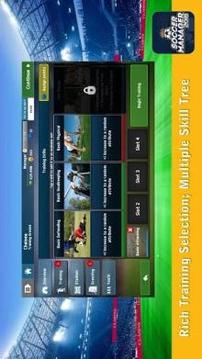 Soccer Manager 2018 - Special Edition游戏截图5