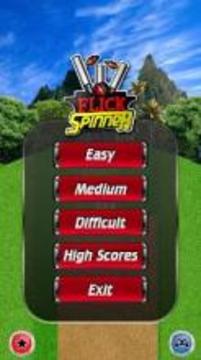 Flick Spinner Cricket 3D游戏截图2