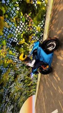 Wild Rider - Free Bike Stunts Racing游戏截图5