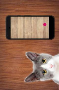Laser Pointer Cat - Simulator Games for Cats游戏截图2