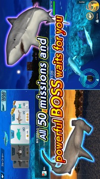 Wild Shark Fishing游戏截图1