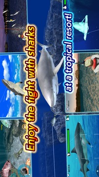 Wild Shark Fishing游戏截图2