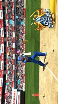 Epic Cricket - Big League Game游戏截图1