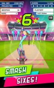 Stick Cricket Super League游戏截图3