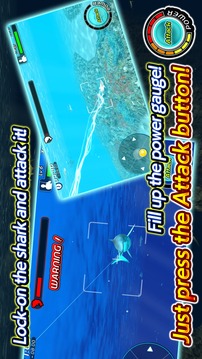 Wild Shark Fishing游戏截图3