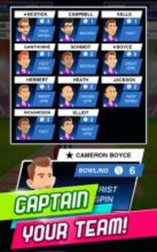 Stick Cricket Super League游戏截图4