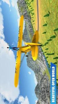 Flight Simulator 2019 - Free Flying游戏截图5