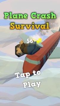 坠机幸存者游戏截图2