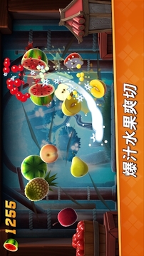 Fruit Ninja2游戏截图3
