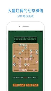 中国象棋定式游戏截图4