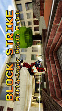 BlockStrike游戏截图5