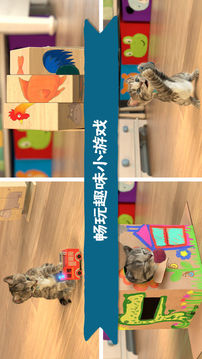 LittleKitten小猫游戏截图4