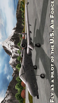 A10ThunderboltTankKillerCombatGunshipFlightSimulator游戏截图2
