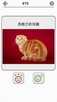 猫品种问答游戏截图1