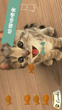 LittleKitten小猫游戏截图3