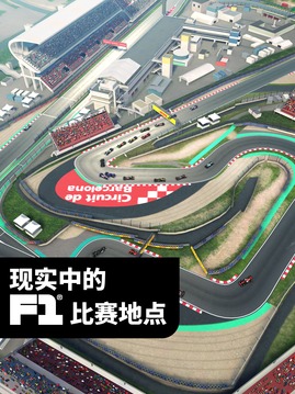 F1Manager游戏截图1