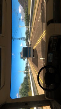 TruckSimulator2020Driverealtrucks游戏截图3