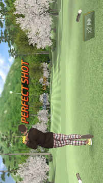 샷온라인골프WorldChampionship游戏截图1