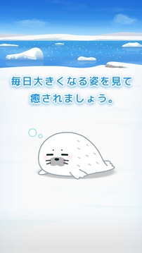 アザラシ育成ゲーム　かわいい愈しのアプリ游戏截图4