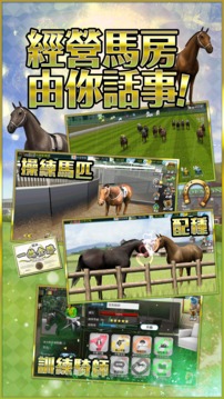 冠军人马ChampionHorseRacing游戏截图4