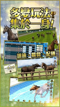 冠军人马ChampionHorseRacing游戏截图1