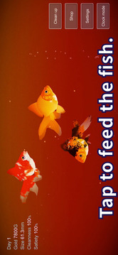 Goldfish3D游戏截图2