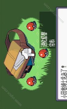 口袋妖怪冠军的旅程游戏截图4