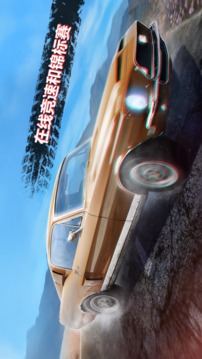 CARS赛车竞速游戏截图3