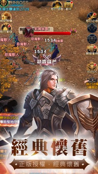 不朽战纪游戏截图2