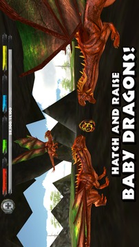 WorldofDragons3DSimulator游戏截图1