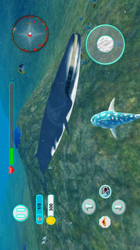鲨鱼攻击进化3DPro游戏截图2